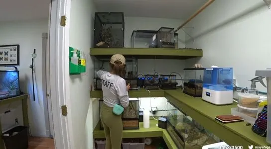 Maya Higa OnlyFans Leaked Free Thumbnail Picture - #IEQ2BnvFTD