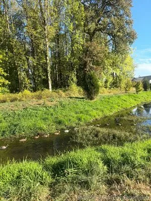 Mcopelandd OnlyFans Leaked Free Thumbnail Picture - #mZHytZdws9