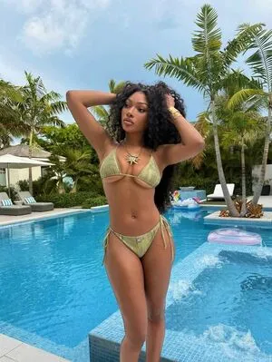 Megan Thee Stallion OnlyFans Leaked Free Thumbnail Picture - #2h1Md2BloN