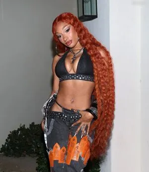 Megan Thee Stallion OnlyFans Leaked Free Thumbnail Picture - #BGyLHFx0DU