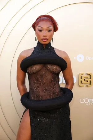 Megan Thee Stallion OnlyFans Leaked Free Thumbnail Picture - #JLH8luUlji