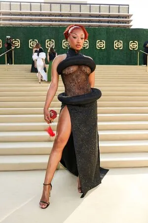Megan Thee Stallion OnlyFans Leaked Free Thumbnail Picture - #fJGtaUTWrz
