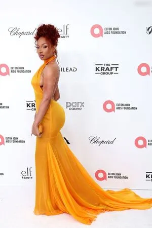 Megan Thee Stallion OnlyFans Leaked Free Thumbnail Picture - #pMYPmrZ1FO