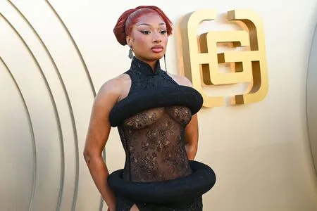 Megan Thee Stallion OnlyFans Leaked Free Thumbnail Picture - #r8NeG8w4xz
