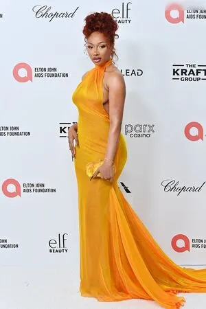 Megan Thee Stallion OnlyFans Leaked Free Thumbnail Picture - #sm8O1HyPBa