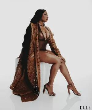 Megan Thee Stallion OnlyFans Leaked Free Thumbnail Picture - #8J5Uoaff1x