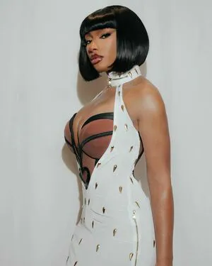 Megan Thee Stallion OnlyFans Leaked Free Thumbnail Picture - #Tly2ynKz7d