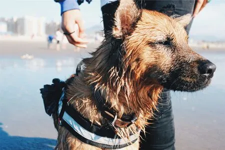 Megankinley OnlyFans Leaked Free Thumbnail Picture - #6dU32Gf2VF