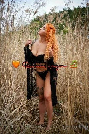 Meganpinkvip OnlyFans Leaked Free Thumbnail Picture - #apYDFsRljG