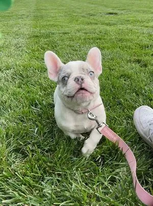 Melipsi OnlyFans Leaked Free Thumbnail Picture - #RWdFCuGqxP