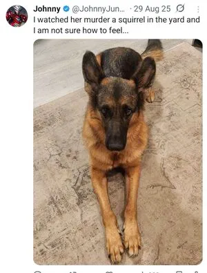 Melonie Mac OnlyFans Leaked Free Thumbnail Picture - #lrf7OojZgz