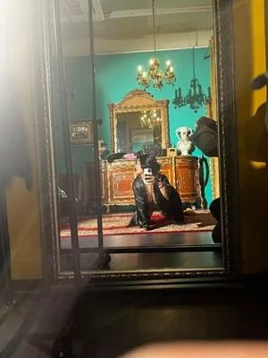 Meowbeam OnlyFans Leaked Free Thumbnail Picture - #CRED786Lgc