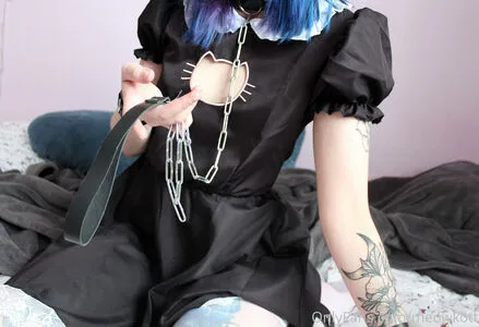 Meowkott OnlyFans Leaked Free Thumbnail Picture - #mn8J5KspKi