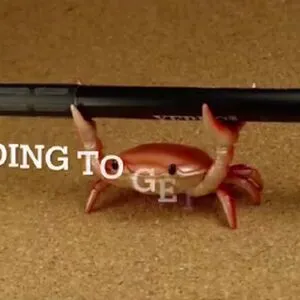 Meowprincess OnlyFans Leaked Free Thumbnail Picture - #CjVYjEUmV8