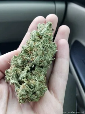 Mercedes Lynn OnlyFans Leaked Free Thumbnail Picture - #3aWnJH20g6