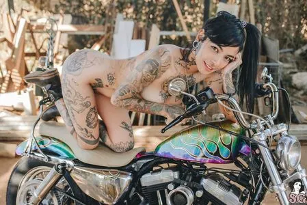 Metalflake OnlyFans Leaked Free Thumbnail Picture - #oYZM0BDrse