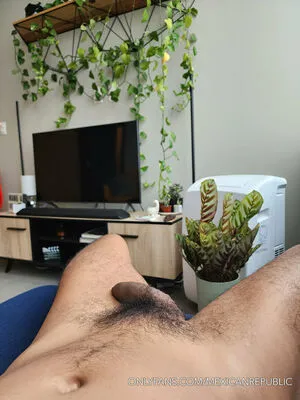 Mexicanrepublic OnlyFans Leaked Free Thumbnail Picture - #qvuL3I8wu1