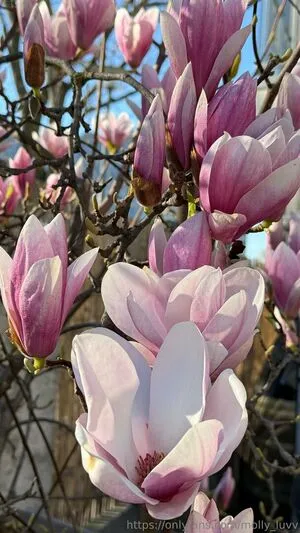 Mhpeach OnlyFans Leaked Free Thumbnail Picture - #5QjIYe7csA