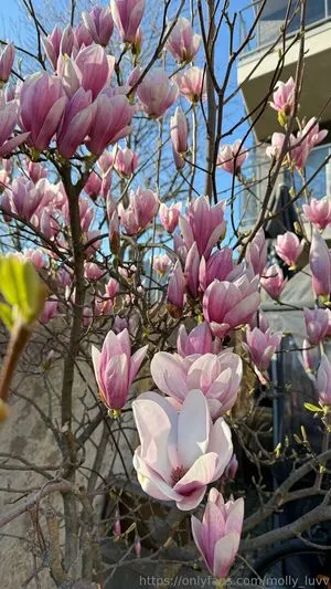 Mhpeach OnlyFans Leaked Free Thumbnail Picture - #sB2Gan1wsV