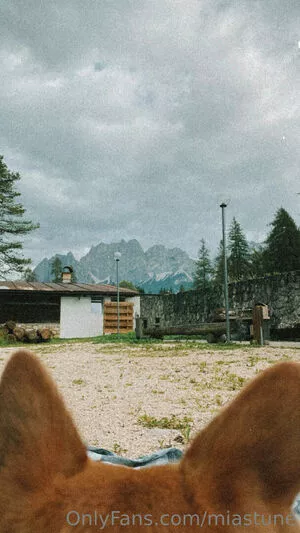 Mia Sollis OnlyFans Leaked Free Thumbnail Picture - #Sn7a2bozac