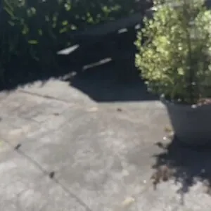 Mia Z OnlyFans Leaked Free Thumbnail Picture - #8LECt7OrcK