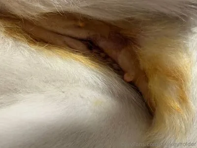 Miakeyholder OnlyFans Leaked Free Thumbnail Picture - #hntCKCF7CQ