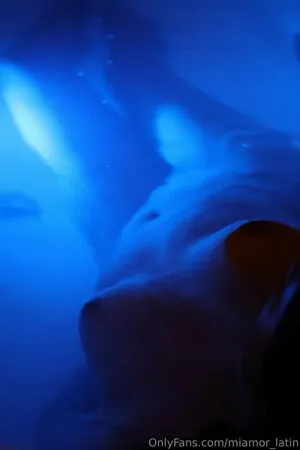 Miamor Latin OnlyFans Leaked Free Thumbnail Picture - #vNjGIopvM1