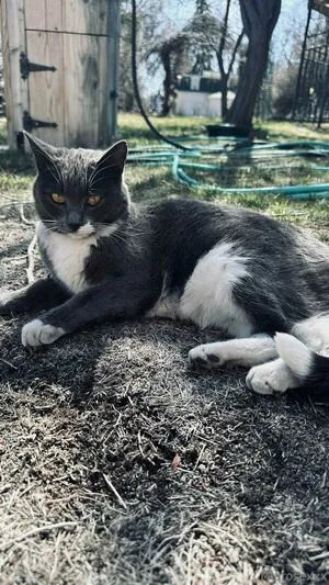 Miarosexxx OnlyFans Leaked Free Thumbnail Picture - #x64Q7wO2g9