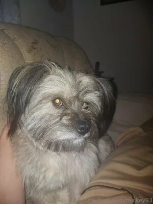 Mickey93 OnlyFans Leaked Free Thumbnail Picture - #UDiIioOyJQ