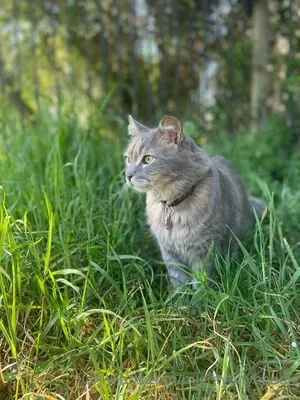 Mightytinybaddie OnlyFans Leaked Free Thumbnail Picture - #DG1jOoFM27