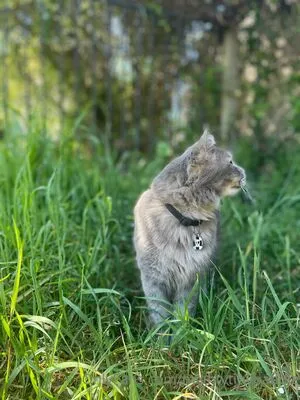 Mightytinybaddie OnlyFans Leaked Free Thumbnail Picture - #fuXJdguNK8