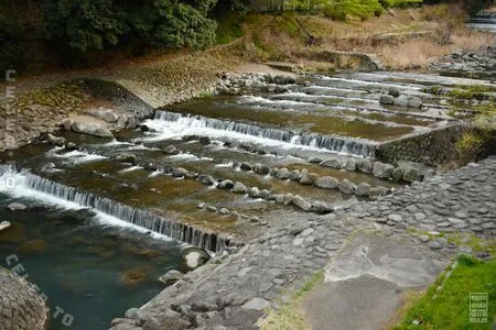 Mikomi Hokina OnlyFans Leaked Free Thumbnail Picture - #3IHGy20qr4