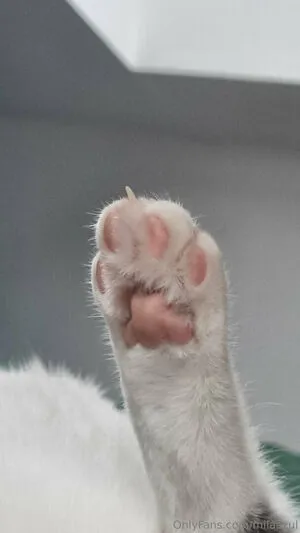 Milaazul OnlyFans Leaked Free Thumbnail Picture - #6uEamBr6YL