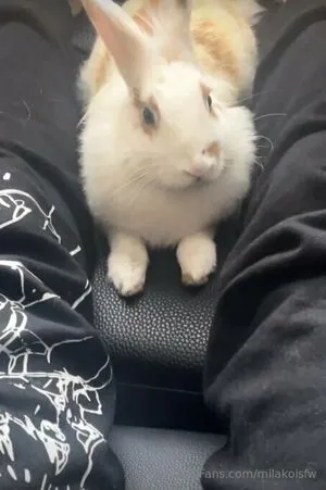 Milakoisfw OnlyFans Leaked Free Thumbnail Picture - #jfCvALwVkw