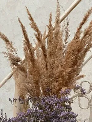 Milapixie OnlyFans Leaked Free Thumbnail Picture - #d5QpMrhUfS