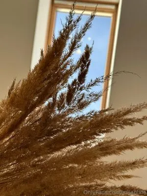 Milapixie OnlyFans Leaked Free Thumbnail Picture - #jTsJ9CnVHs