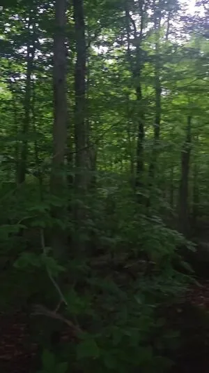 Milky OnlyFans Leaked Free Thumbnail Picture - #EL8Z0J2gi8