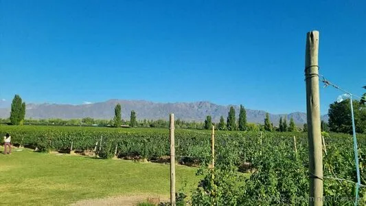 Mindarinaasmr OnlyFans Leaked Free Thumbnail Picture - #jDdxnDZxe8