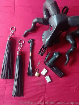 Mini Beast Ropes OnlyFans Leaked Free Thumbnail Picture - #jcja9zwSrG