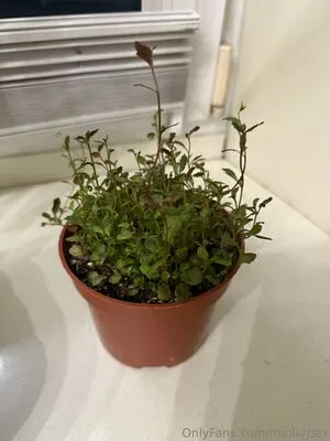 Minikrisss OnlyFans Leaked Free Thumbnail Picture - #CJRmdDa6MU