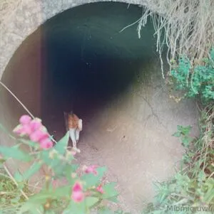 Miomio Free OnlyFans Leaked Free Thumbnail Picture - #WhXYeuEfvb