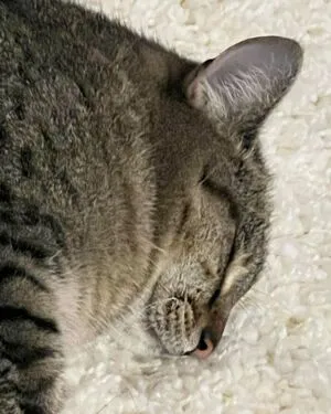 Miranda OnlyFans Leaked Free Thumbnail Picture - #CU9ju8D8tb