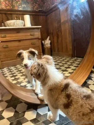 Miss Hand OnlyFans Leaked Free Thumbnail Picture - #Vi5qB03xCW