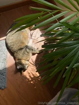 Miss Josephin OnlyFans Leaked Free Thumbnail Picture - #exaurD1vv8