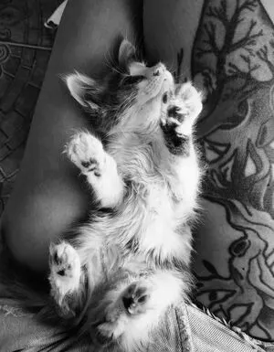 Miss Laia OnlyFans Leaked Free Thumbnail Picture - #jfenlThgKy