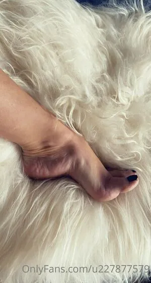 Miss Sexy Feet OnlyFans Leaked Free Thumbnail Picture - #nMHJ2njKaZ