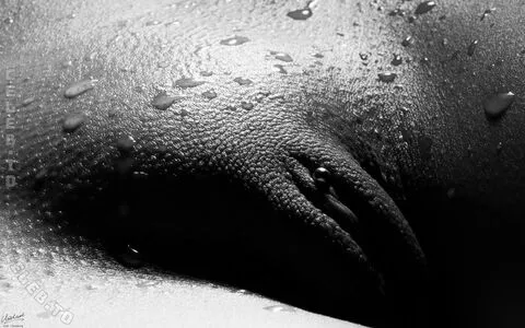 Miss Wandelbar OnlyFans Leaked Free Thumbnail Picture - #3zunPZqxVH