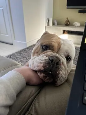 Missbellaboo X OnlyFans Leaked Free Thumbnail Picture - #22QFypeVh4