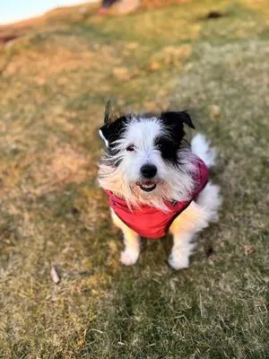 Missbellaboo X OnlyFans Leaked Free Thumbnail Picture - #hjSWmkayRm