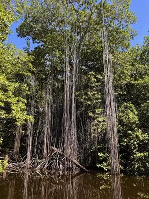 Missbellaboo X OnlyFans Leaked Free Thumbnail Picture - #wB5r2HhjLl